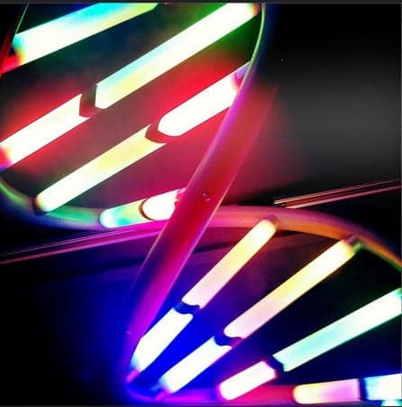 Doctors hope to one day develop Gene therapy for hair loss