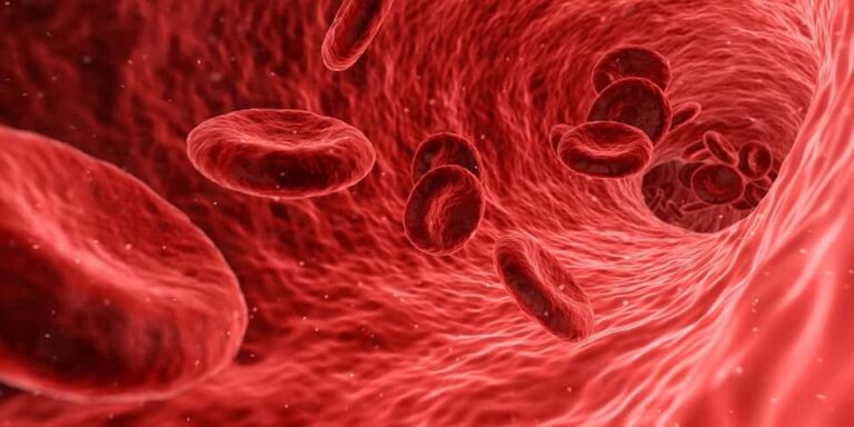 In treatments for platelet rich plasma for hair loss, the patient's own blood is separated into three components to obtain the PRP needed