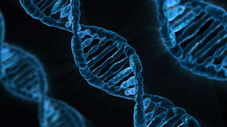 Genetics and hair loss may be influenced by environmental factors to a greater extent than previously thought as suggested by studies on identical twins and hair loss. 