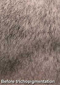 Before image